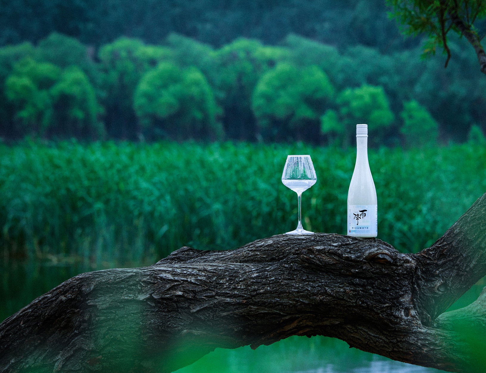TASU+ - Fine Sake in Nature